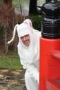 Bunny rabbit race