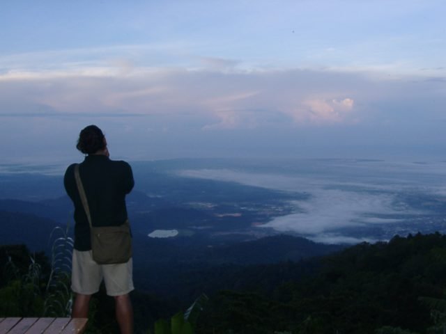 http://junglewalla.com/rainforest-afterdark/