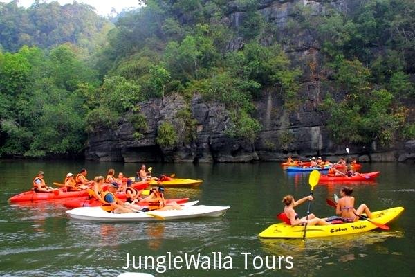 http://junglewalla.com/kayaking-swimming-adventure/