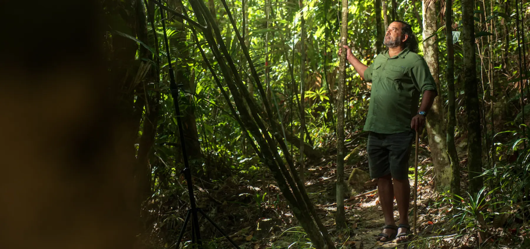 2008 IN MEMORY — REFLECTING ON A YEAR OF CONSERVATION