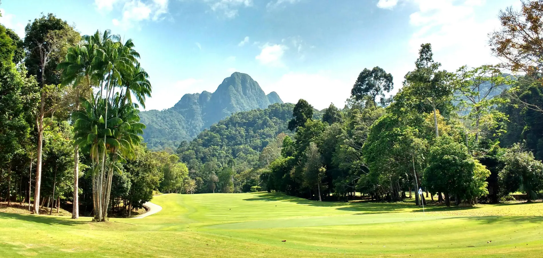 CITY AND FOREST — A NEW PERSPECTIVE ON WILDERNESS