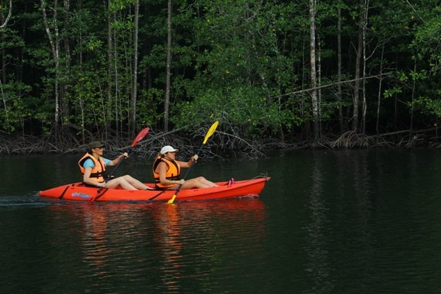kayaking-cruise