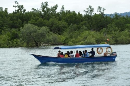 cruising-mangrove-tanjung-rhu-langkawi