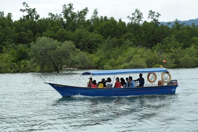 unesco geopark mangrove cruise