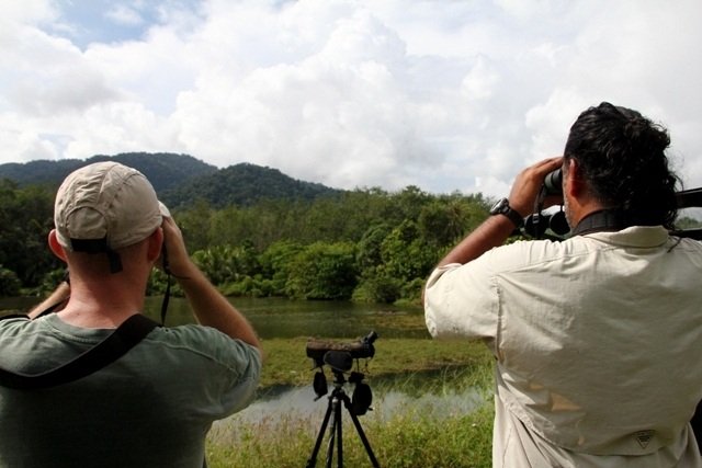 bird watching tour malaysia