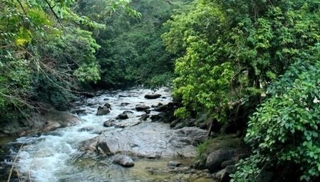 junglewalla langkawi – nature wildlife tour