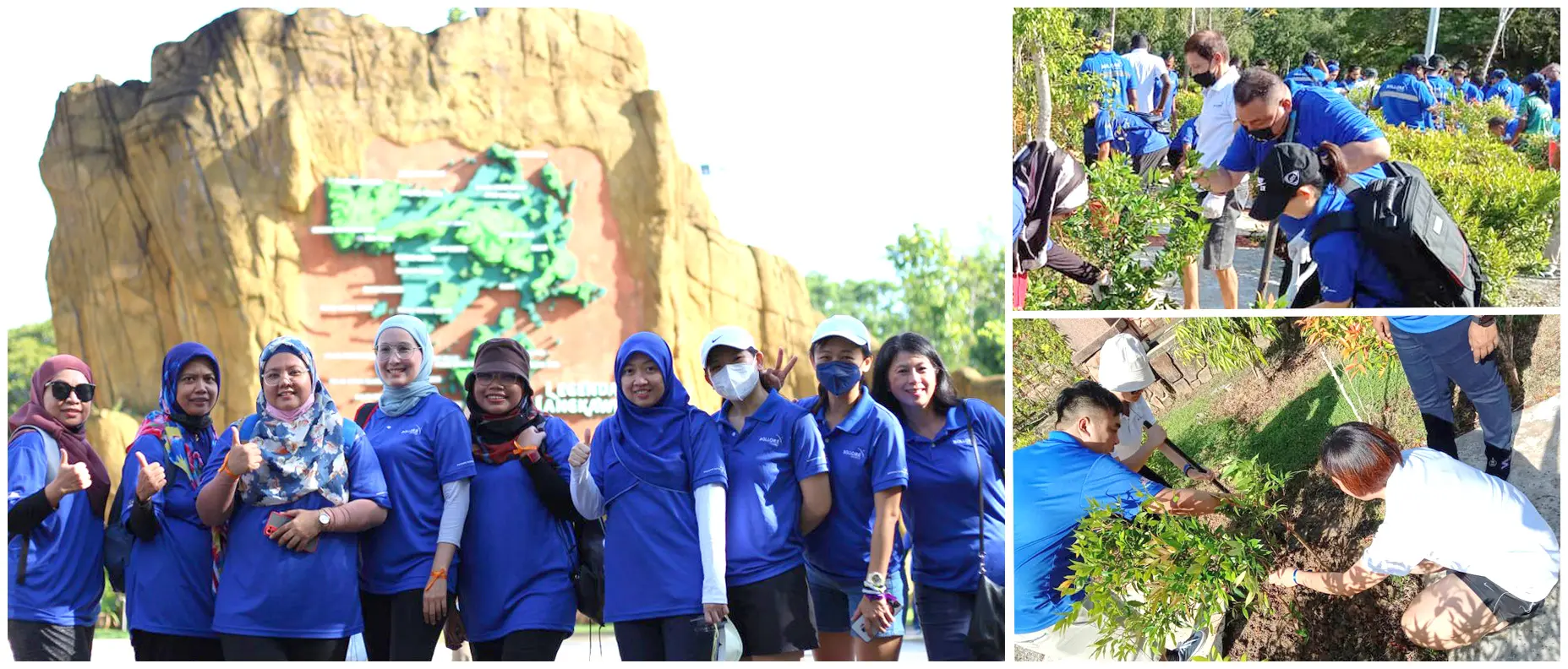 RAINFOREST TREE PLANTING — NATURE CONSERVATION