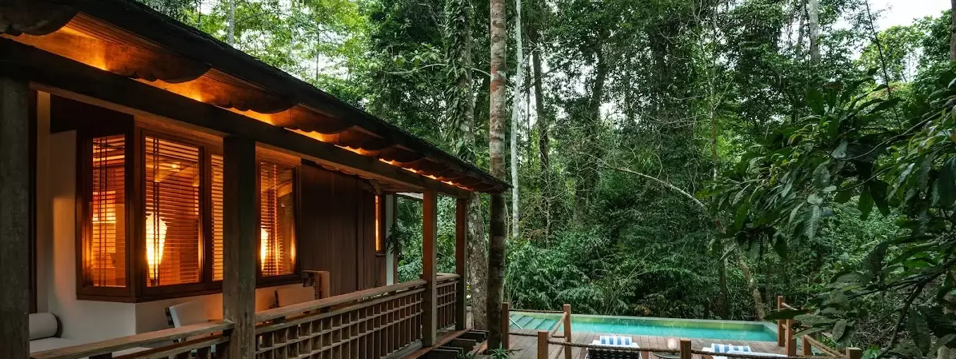 JUNGLE ODYSSEY — A FAMILY EXPEDITION IN THE ANCIENT RAINFOREST