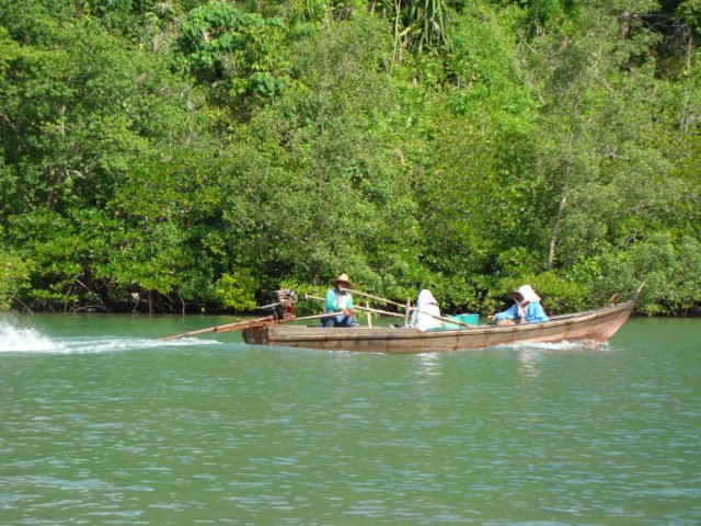 unesco geopark mangrove cruise