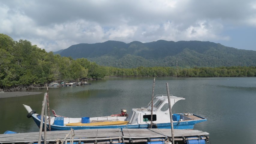 https://www.junglewalla.com/langkawi-mangrove-cruise-swimming/