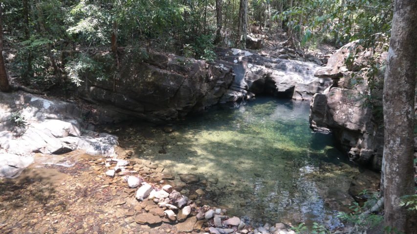 https://www.junglewalla.com/langkawi-mangrove-cruise-swimming/