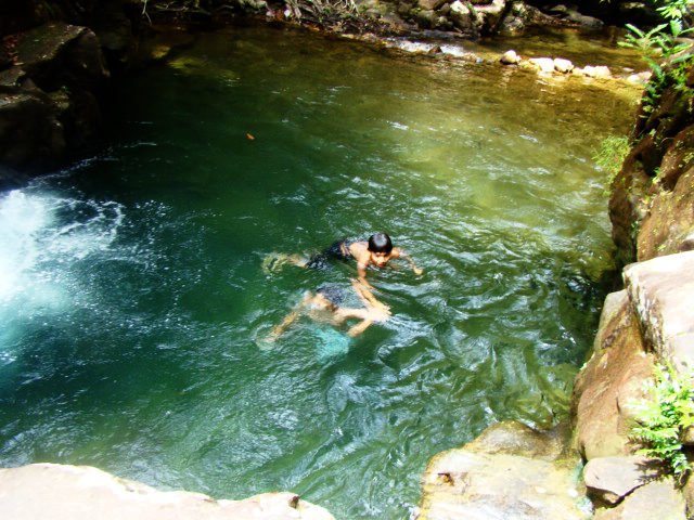 https://www.junglewalla.com/langkawi-mangrove-cruise-swimming/