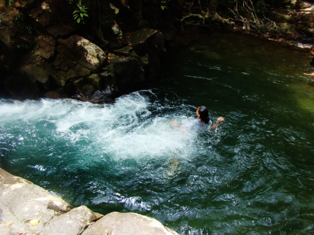 https://www.junglewalla.com/langkawi-mangrove-cruise-swimming/