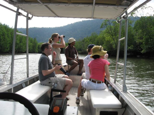 https://www.junglewalla.com/langkawi-mangrove-cruise-swimming/