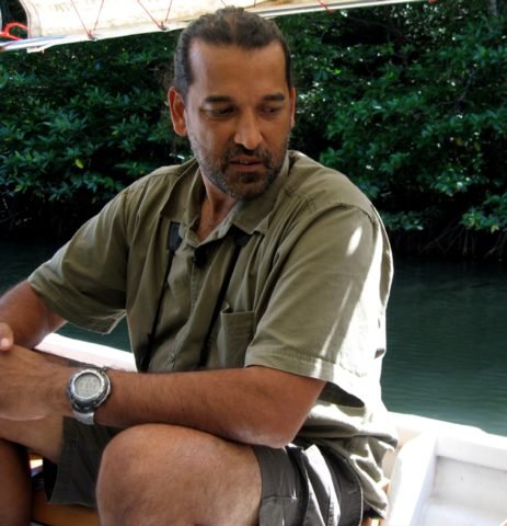 https://www.junglewalla.com/langkawi-mangrove-cruise-swimming/