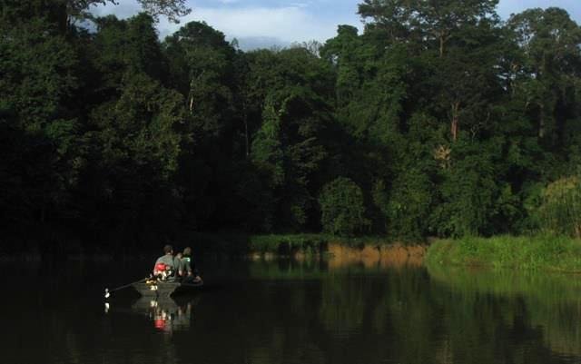 https://www.junglewalla.com/wilds-of-ulu-muda/
