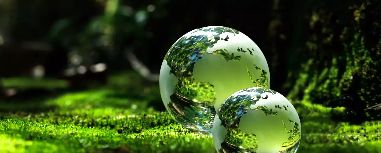 NATURE CONSERVATION & SUSTAINABLE TOURISM ETHICS