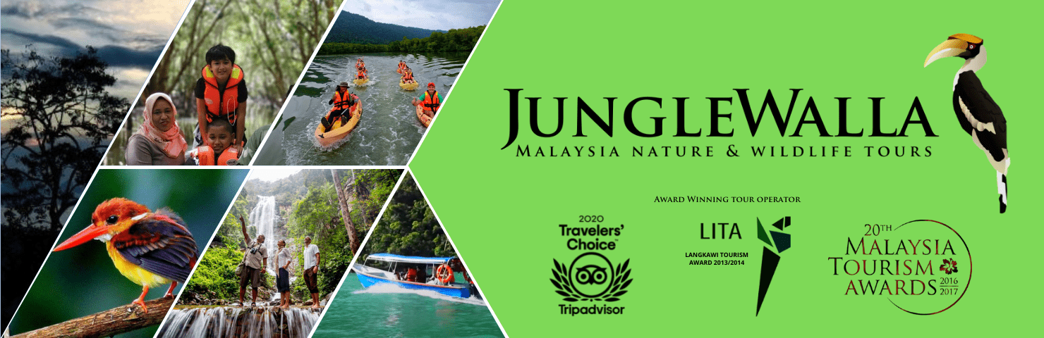 junglewalla tours