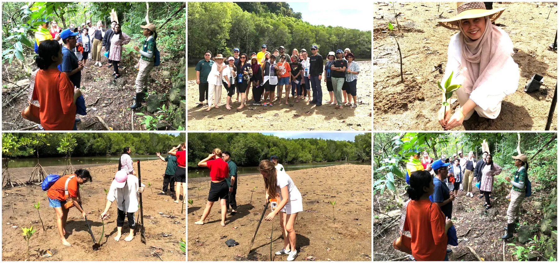 MANGROVE SEED PLANTING — CSR CONSERVATION PROGRAM