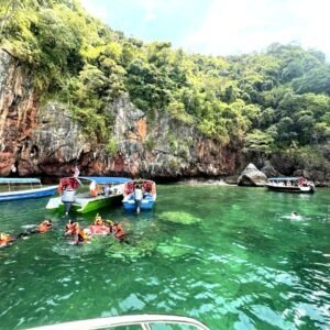 Mangrove River Cruise & Snorkeling Tour