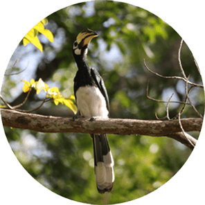 About Us Circle Image