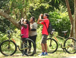 desaru-johor-cycling-junglewalla-tour (6)